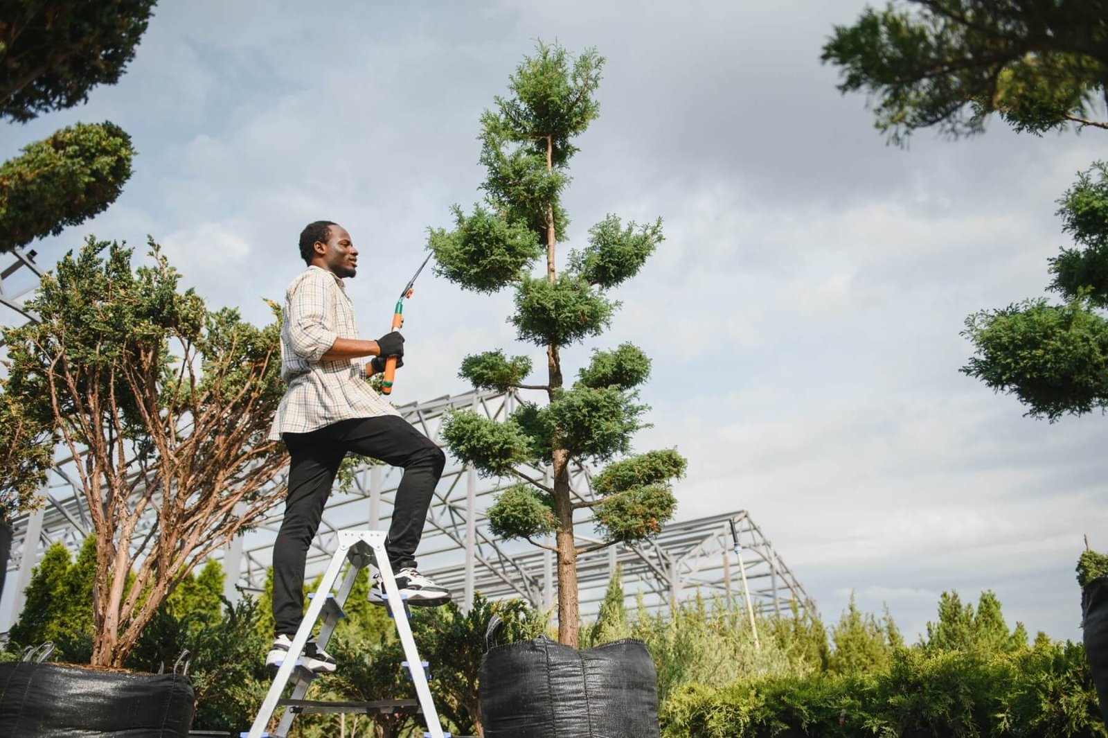 Servicios 9 a young african american gardener cuts a tree with 2025 06 22 16 45 17 utc XQ9MANV