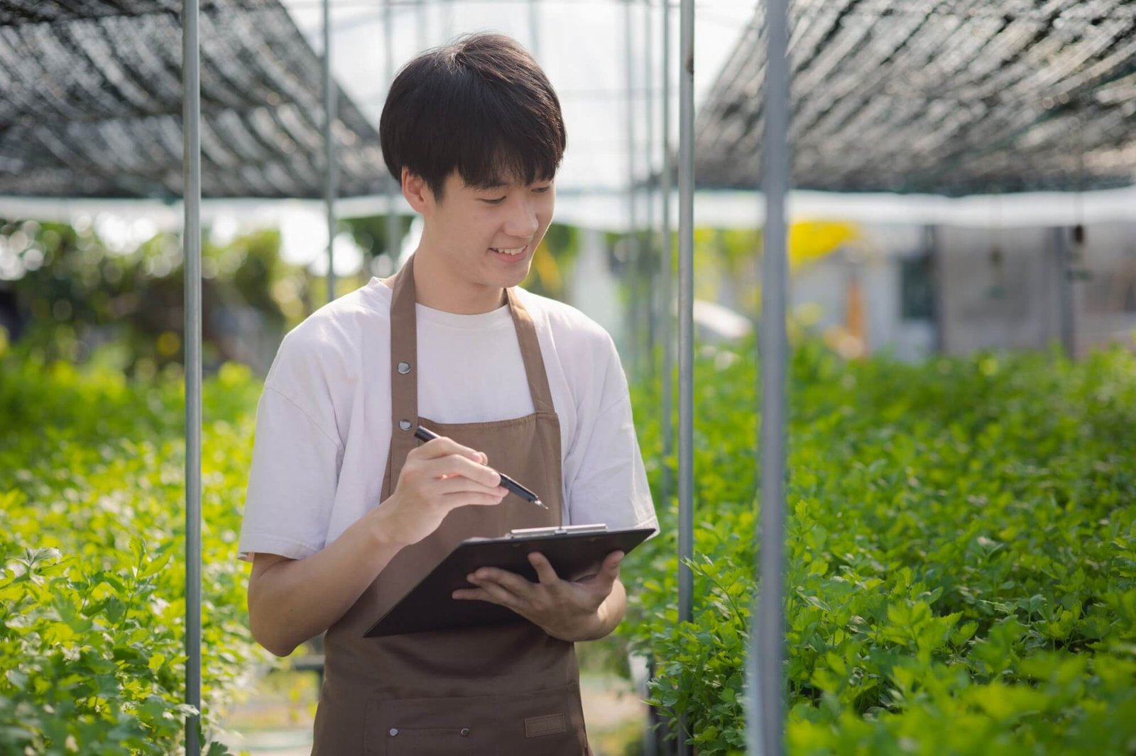 Servicios 12 a young man owns a hydroponic vegetable garden he 2025 01 16 23 52 55 utc 8XLTZJT
